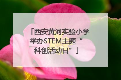 西安黄河实验小学举办STEM主题“科创活动日”