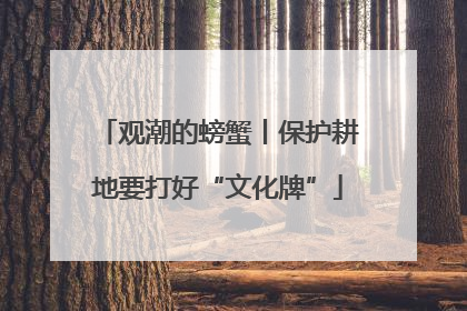 观潮的螃蟹丨保护耕地要打好“文化牌”