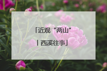 近观“两山”丨西溪往事