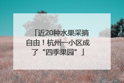 近20种水果采摘自由！杭州一小区成了“四季果园”