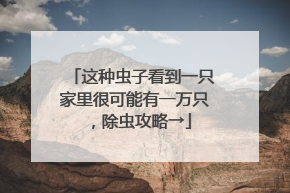 这种虫子看到一只家里很可能有一万只，除虫攻略→