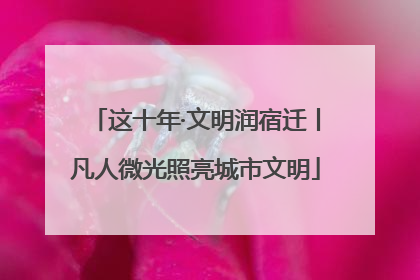 这十年·文明润宿迁丨凡人微光照亮城市文明
