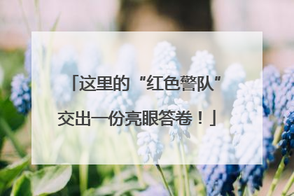 这里的“红色警队”交出一份亮眼答卷！