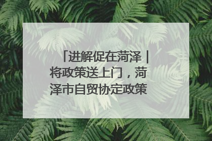 进解促在菏泽｜将政策送上门，菏泽市自贸协定政策专题宣讲会召开