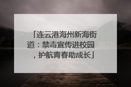 连云港海州新海街道：禁毒宣传进校园，护航青春助成长