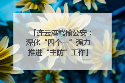 连云港赣榆公安：深化“四个一”强力推进“主防”工作