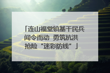 连山福堂镇基干民兵闻令而动  勇筑抗洪抢险“迷彩防线”