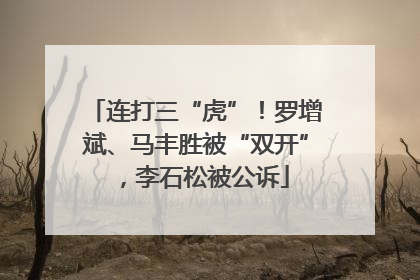 连打三“虎”！罗增斌、马丰胜被“双开”，李石松被公诉