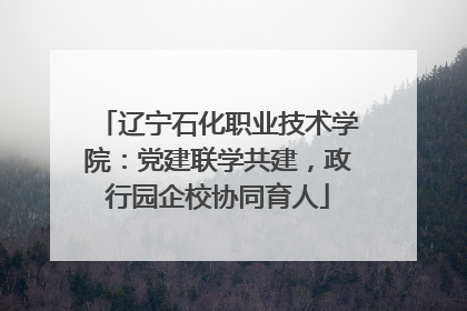 辽宁石化职业技术学院：党建联学共建，政行园企校协同育人