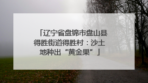 辽宁省盘锦市盘山县得胜街道得胜村：沙土地种出“黄金果”