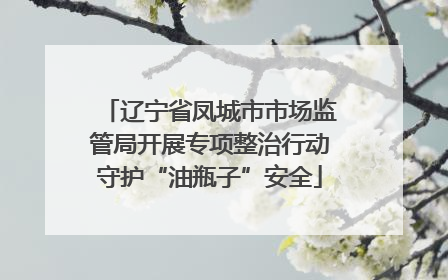 辽宁省凤城市市场监管局开展专项整治行动守护“油瓶子”安全