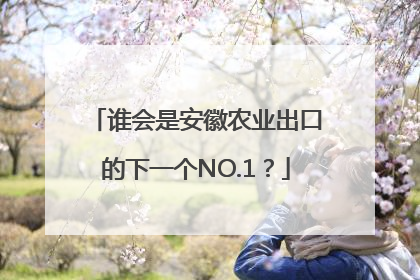 谁会是安徽农业出口的下一个NO.1？