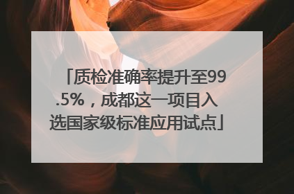 质检准确率提升至99.5%，成都这一项目入选国家级标准应用试点