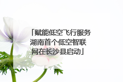 赋能低空飞行服务 湖南首个低空智联网在长沙县启动