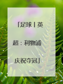 足球丨英超：利物浦庆祝夺冠