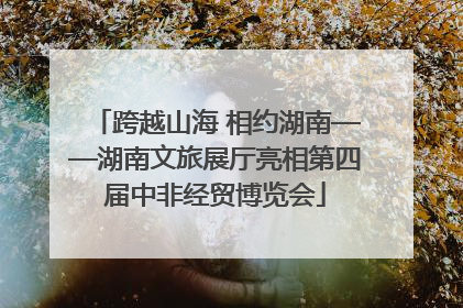 跨越山海 相约湖南——湖南文旅展厅亮相第四届中非经贸博览会