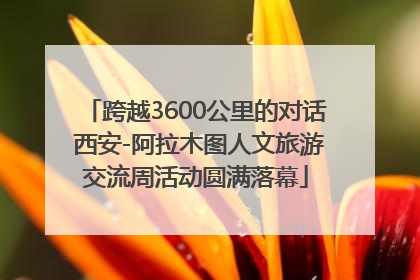 跨越3600公里的对话 西安-阿拉木图人文旅游交流周活动圆满落幕