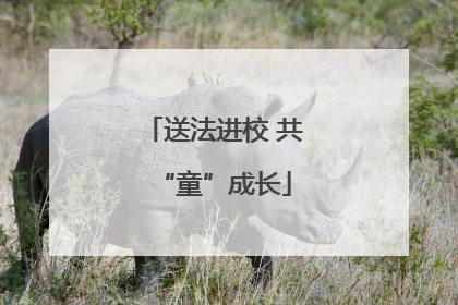 送法进校 共“童”成长