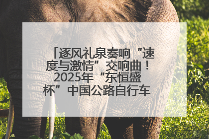 逐风礼泉奏响“速度与激情”交响曲！2025年“东恒盛杯”中国公路自行车联赛第五站（陕西·礼泉站）正式开赛