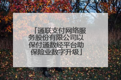 通联支付网络服务股份有限公司以保付通数经平台助保险业数字升级