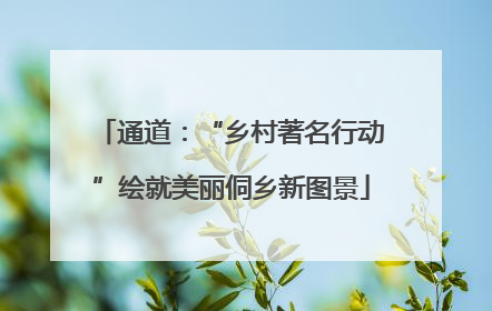 通道：“乡村著名行动”绘就美丽侗乡新图景