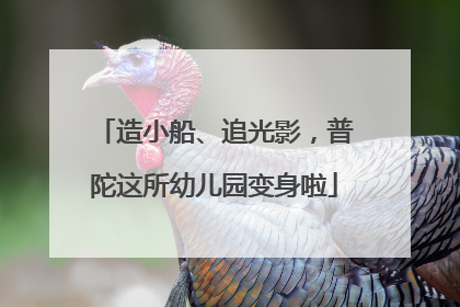 造小船、追光影，普陀这所幼儿园变身啦