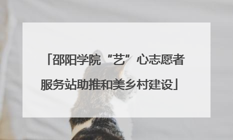 邵阳学院“艺”心志愿者服务站助推和美乡村建设