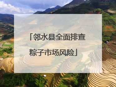 邻水县全面排查粽子市场风险