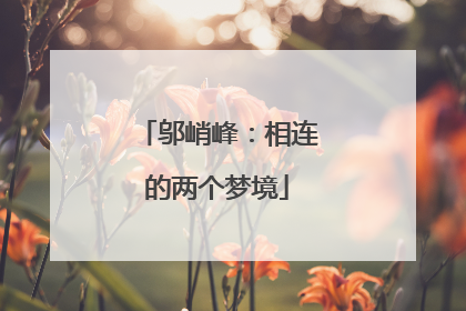 邬峭峰：相连的两个梦境