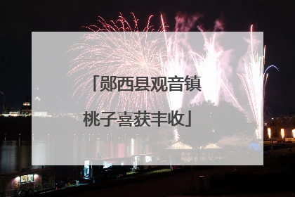 郧西县观音镇桃子喜获丰收