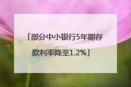 部分中小银行5年期存款利率降至1.2%