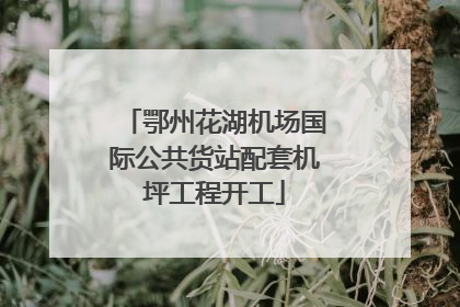 鄂州花湖机场国际公共货站配套机坪工程开工