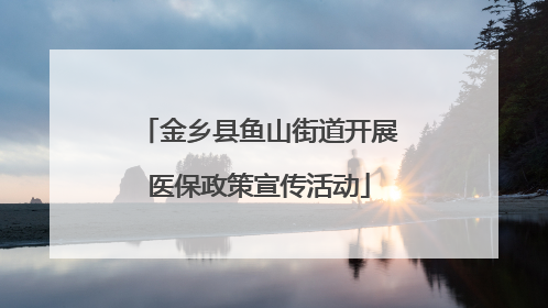 金乡县鱼山街道开展医保政策宣传活动
