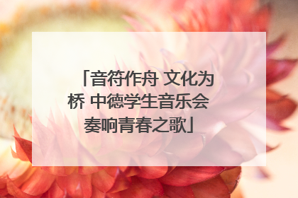 音符作舟 文化为桥 中德学生音乐会奏响青春之歌