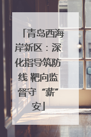 青岛西海岸新区：深化指导筑防线 靶向监督守“薪”安