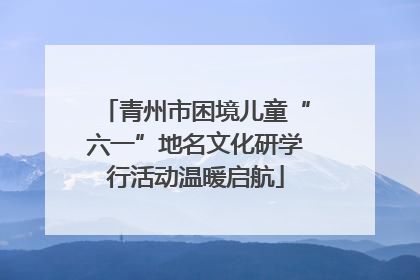 青州市困境儿童“六一”地名文化研学行活动温暖启航