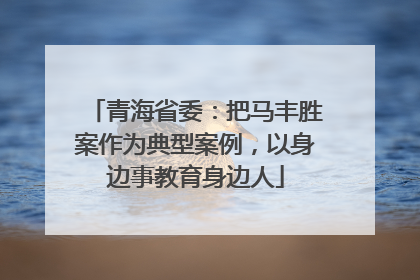 青海省委：把马丰胜案作为典型案例，以身边事教育身边人