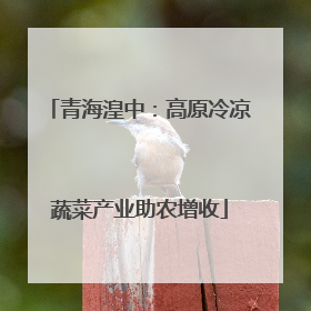 青海湟中：高原冷凉蔬菜产业助农增收