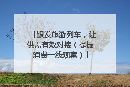 银发旅游列车，让供需有效对接（提振消费一线观察）