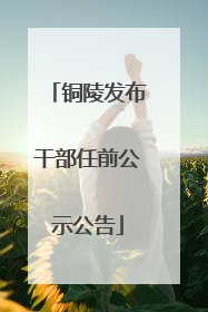 铜陵发布干部任前公示公告