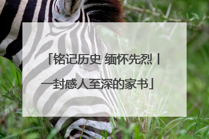 铭记历史 缅怀先烈丨一封感人至深的家书