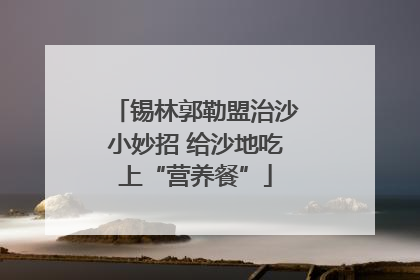 锡林郭勒盟治沙小妙招 给沙地吃上“营养餐”