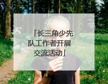 长三角少先队工作者开展交流活动