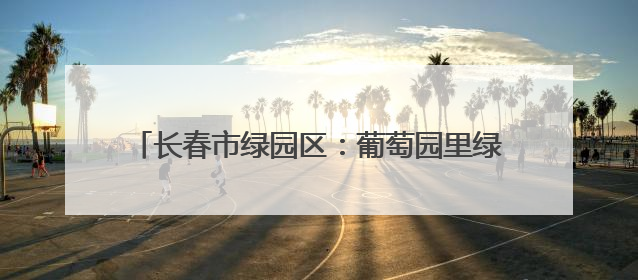 长春市绿园区：葡萄园里绿意浓 “紫色经济”焕新枝