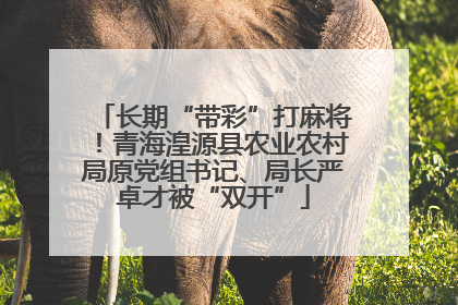 长期“带彩”打麻将！青海湟源县农业农村局原党组书记、局长严卓才被“双开”