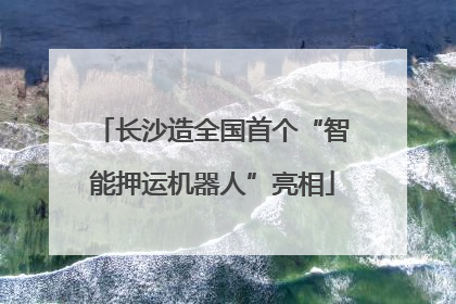 长沙造全国首个“智能押运机器人”亮相