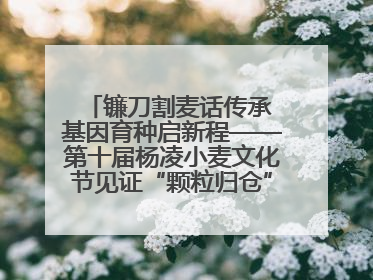 镰刀割麦话传承 基因育种启新程——第十届杨凌小麦文化节见证“颗粒归仓”时空跨越