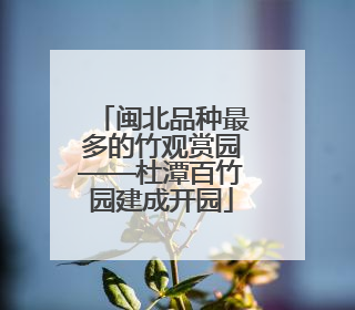 闽北品种最多的竹观赏园——杜潭百竹园建成开园