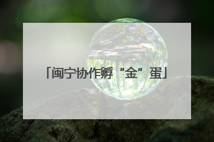 闽宁协作孵“金”蛋