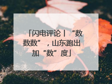 闪电评论丨“数数数”，山东跑出加“数”度